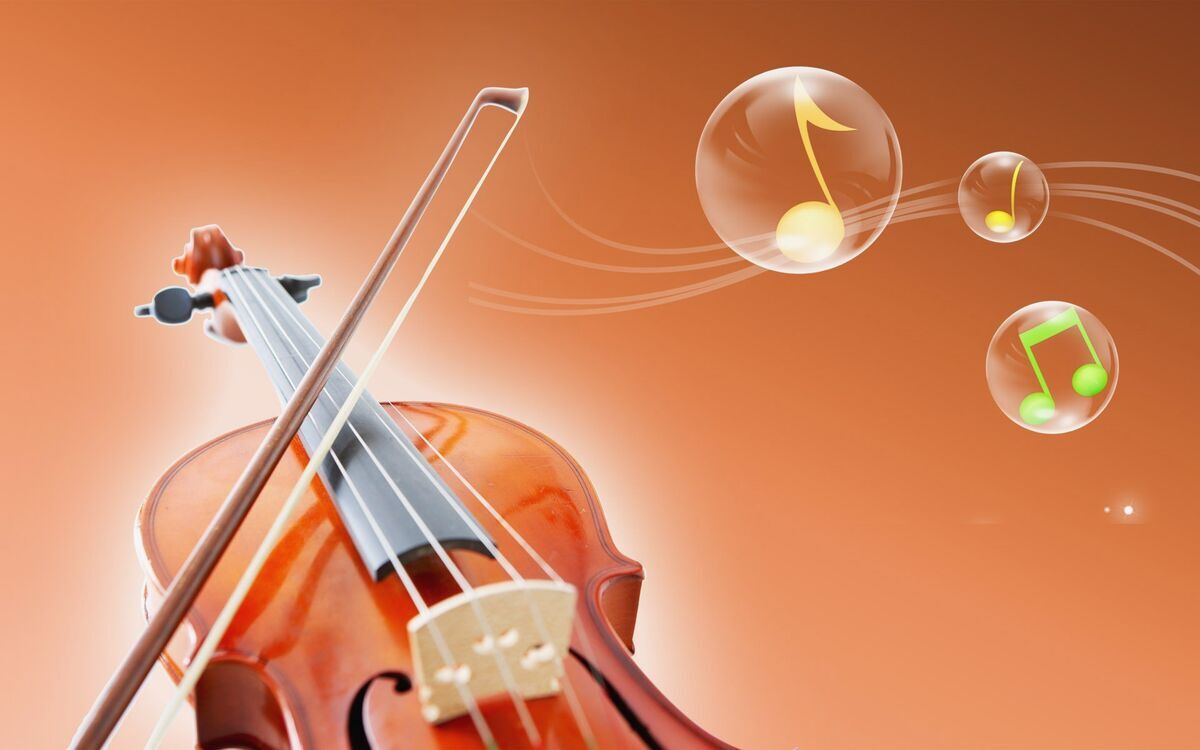 Private Lessons - Violin Youth & Adult (30mins option of 6, 8 or 10 weeks)