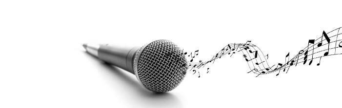 Vocal Lessons (Grade 4 - Adult) 45mins Private Lessons
